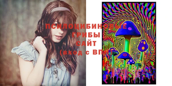 кокс Алексин