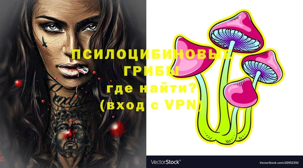 круглые Алзамай