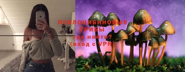круглые Алзамай